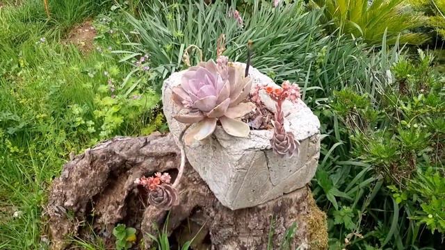 Италия. Пасха,гости, барбекю и открытие купального сезона. 17. 04. 2022. смотреть онлайн