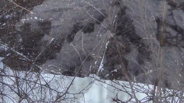 ⛄️ Всем доброй и мягкой зимы! Декабрь - Андрей Обидин. Seasons by Andrew Obidin - December... смотреть онлайн