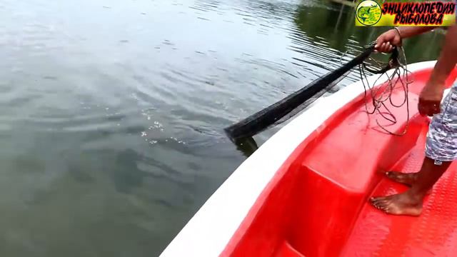 Опытный рыбак с кастинговой сетью, техничный бросок сети смотреть онлайн