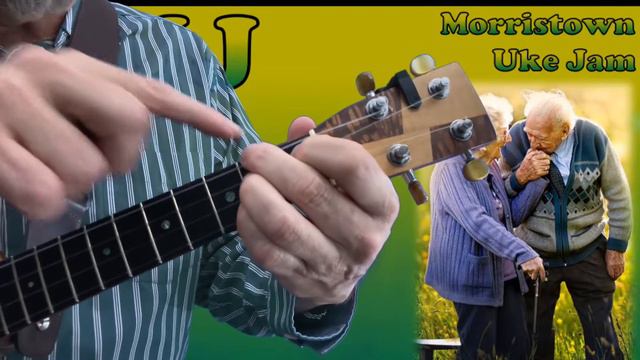 Our House - Crosby, Stills, Nash & Young (a REQUESTED ukulele tutorial by MUJ) смотреть онлайн