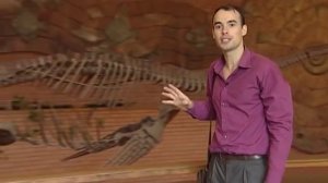 Палеонтологический музей: 41 из 50 чудес Москвы