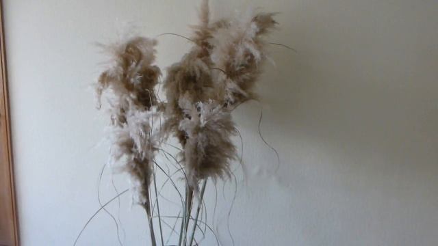 Пампасная трава смотреть онлайн