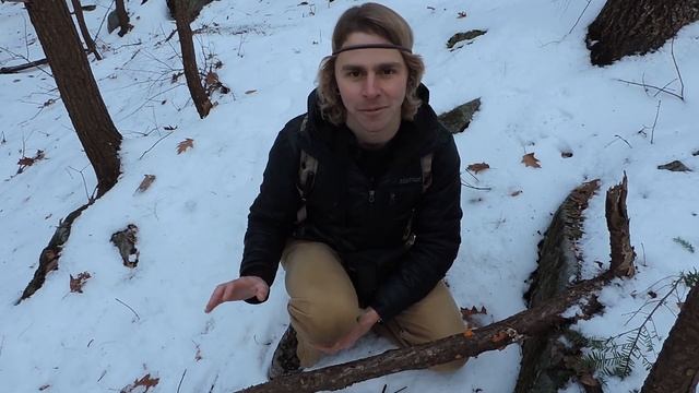 A Brief Look At Orange Jelly Fungus with Adam Haritan смотреть онлайн