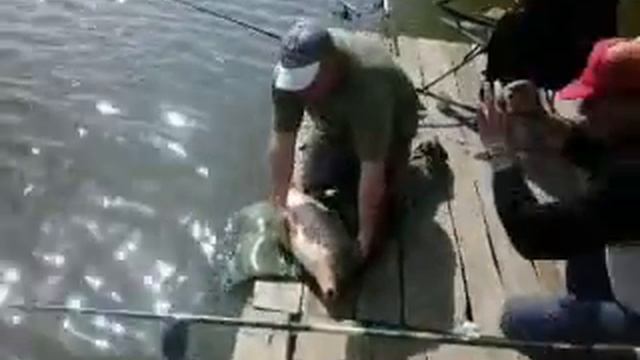 Мирное 28 04 14 Вася выпускает карпа на 12600 смотреть онлайн