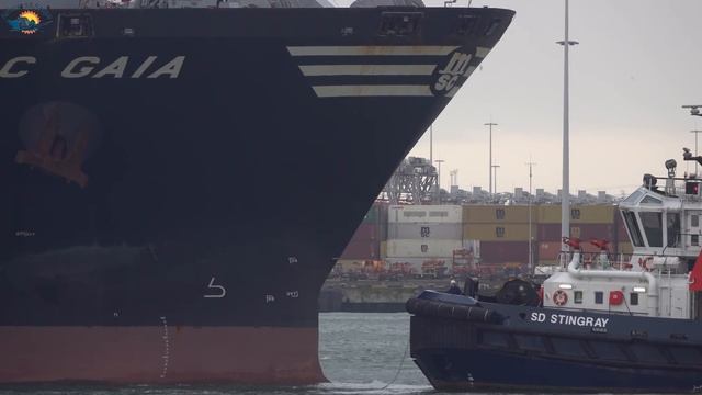 GIANT SHIPS at ROTTERDAM Port - 4K SHIPSPOTTING January 2022 смотреть онлайн