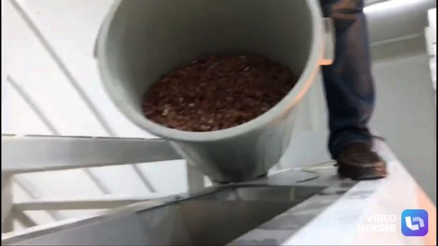 İç Fındık Temizleme Ve Ayıklama Makinesi