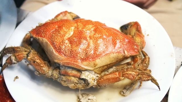 Seafood Market ? Food Tour In Essaouira ?? Travel Morocco