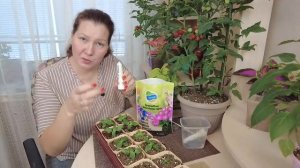 ЧЕМ ПОДКОРМИТЬ РАССАДУ ЗИМОЙ? | Стимулятор роста Аминорост