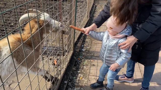 База отдыха Троицкое смотреть онлайн