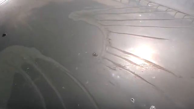 Тачка на прокачку для Avtomana. Mercedes-Benz W123 200D смотреть онлайн