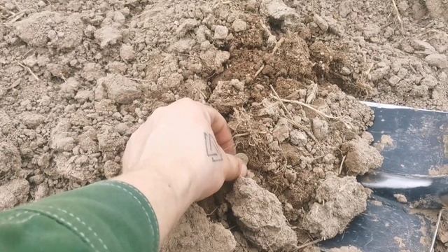 Выходы в поля беларуси,побывал на новых местах#xp deus смотреть онлайн