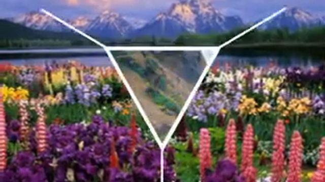 Прекрасна Индия смотреть онлайн