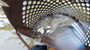 Подводный поиск, на острове потерянных украшений.  Поиск находок под водой, с металлоискателем .