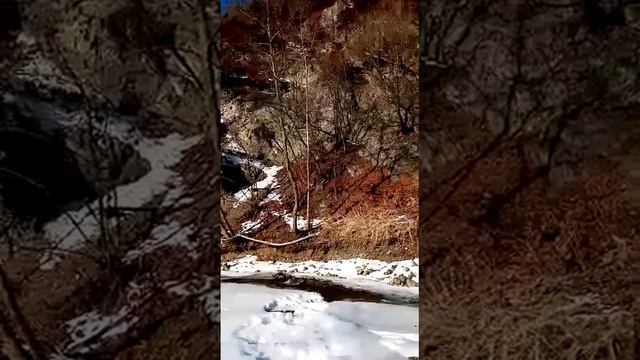 Старый Сучан смотреть онлайн