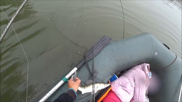 РЫБАЛКА НА ПАУК-ПОДЪЁМНИК, С НАДЁЖНЫМ ДЕРЕВЕНСКИМ ПРОВЕРЕННЫМ ЭХОЛОТОМ!!!СУДАК,ЩУКА...... смотреть онлайн