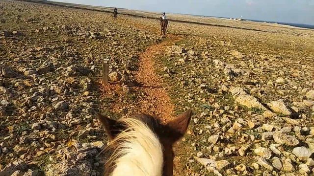 ЧУТЬ БОЛЬШЕ О МЕНОРКЕ ( Пунта Нати ) смотреть онлайн