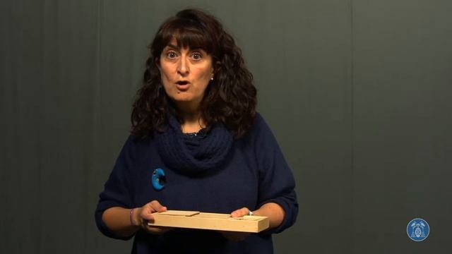 Jugando a pescar смотреть онлайн