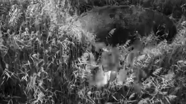 Noize MC- Выдыхай