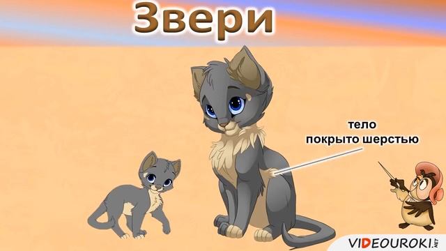 Прямая трансляция пользователя Оксана Шарапова смотреть онлайн