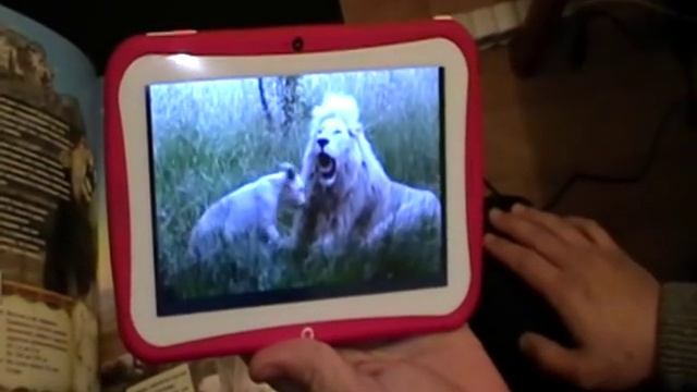 Детская обучающая книга смотреть онлайн