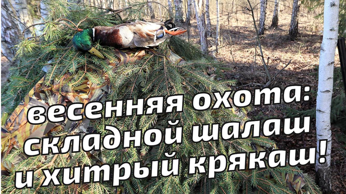 Весенняя охота – складной шалаш и опытный крякаш!