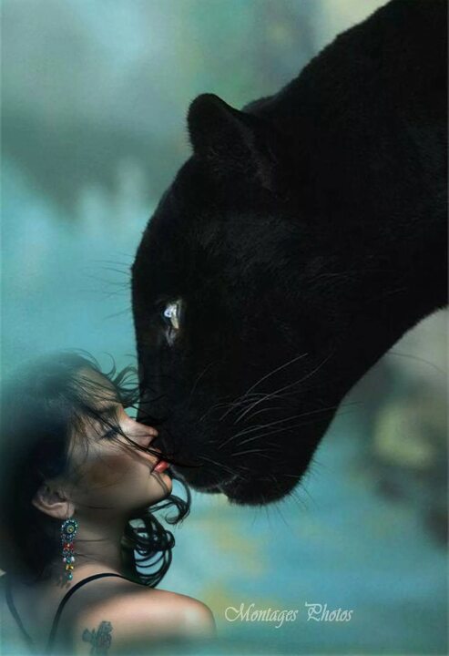 ? ПОЖИВИ в МОЕЙ ШКУРЕ ? Алла Пугачева ? смотреть онлайн