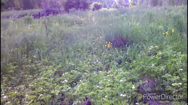 Металлолом есть.. Деньги будут.. смотреть онлайн