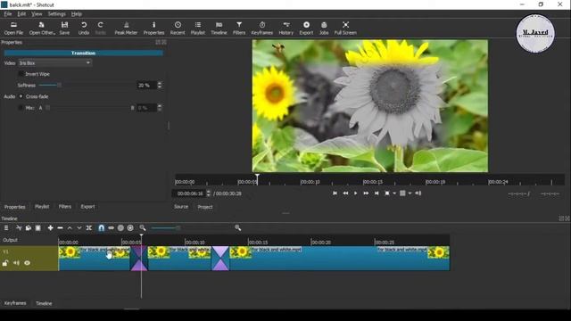How to convert a colorful video into a black and white mode in shotcut смотреть онлайн