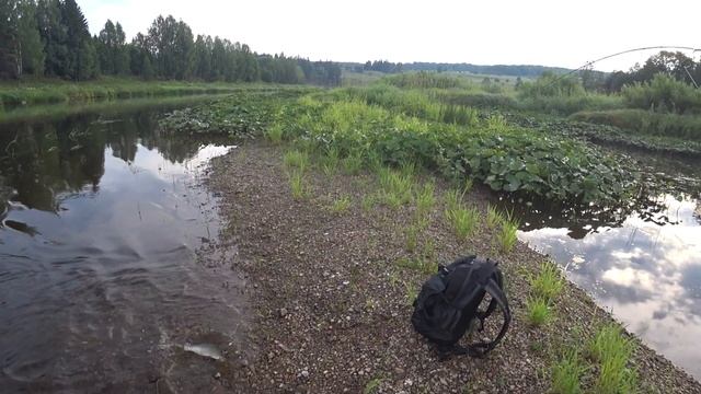 ОТЛИЧНОЕ УТРО НА КРАСИВОЙ РЕКЕ ЧУСОВАЯ! Рыбалка на спиннинг! Рыбалка для души! смотреть онлайн