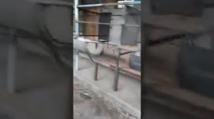 Сарай для баранов очень красивый новый способ!