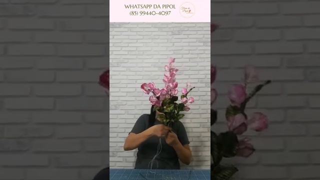 FOLHA MIRIM CONJUGADA TRANSFORMADA EM BOUGAINVILLE - FLORES DA PIPOL смотреть онлайн