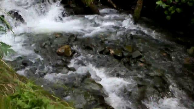 Водопад около телецкого озера 06.2015 смотреть онлайн