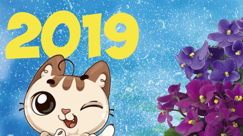 Выставка продажа фиалок 2019 год .8 Марта .Донецк ботанический сад .Обзор от FANTAZIA