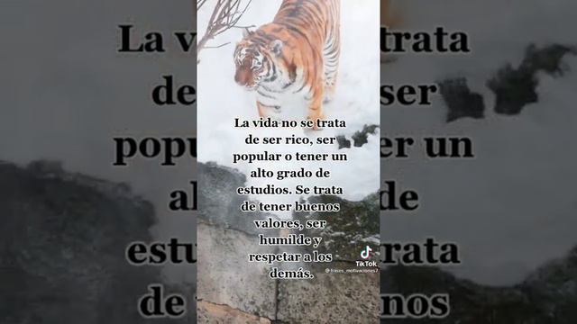 21 de marzo de 2022 смотреть онлайн