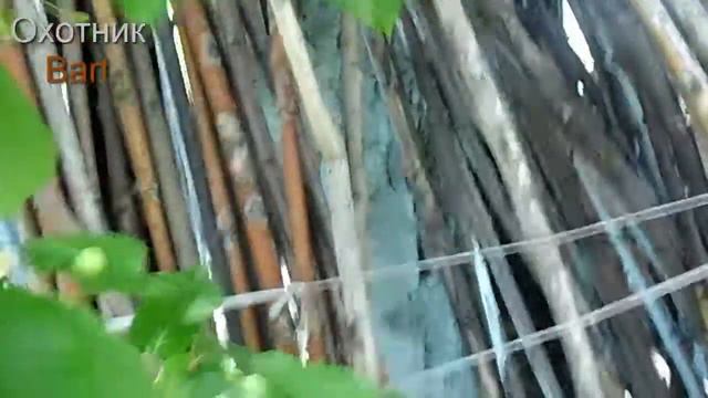 Як поймати крота Охота на крота смотреть онлайн