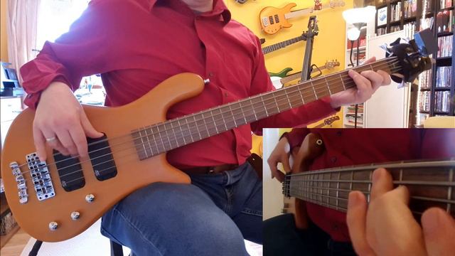 No Doubt - Spiderwebs Bass Cover with Warwick Rockbass Streamer 5 смотреть онлайн