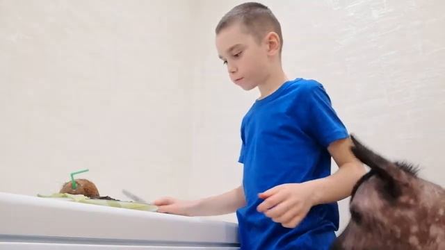 Хаваю стейки смотреть онлайн