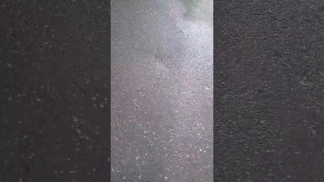 Увидели бомжа смотреть онлайн