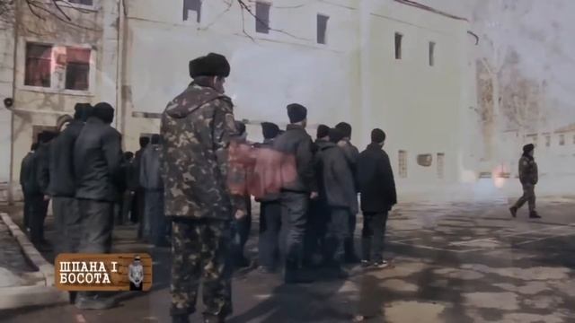 ПРАВА И ОТВЕТСТВЕННОСТЬ С 14 ЛЕТ | СПРАВКА ДЛЯ ПОСОНОВ смотреть онлайн
