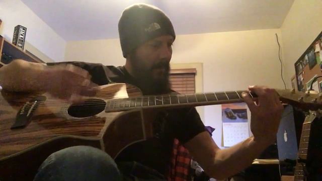 Pink Floyd - Dogs On My Ibanez Exotic Zebra Wood