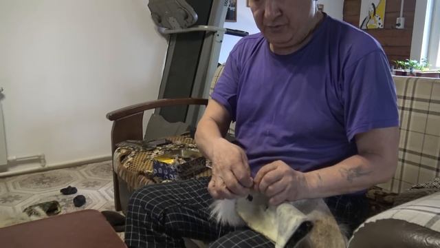 Сшил шапку из шкуры волка. смотреть онлайн