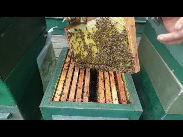 пока все по плану смотреть онлайн