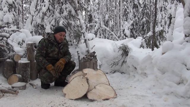 Поход выходного дня Зимняя сказка смотреть онлайн