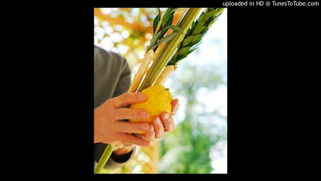 Klezmer Hungarian Dance / Danse Hongroise - Brahms - Feast of Tabernacles, Israel - Sucot סוכות смотреть онлайн