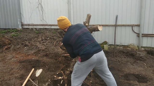 Сын корчует пень на втором участке. смотреть онлайн