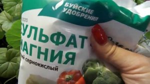 ЧУДО ПОДКОРМКА ДЛЯ НАСЫЩЕННОСТИ ЗЕЛЁНОГО ЦВЕТА ЛИСТА РАССАДЫ. ПО КАКИМ ПРИЗНАКАМ ВНОСИМ  УДОБРЕНИЕ.