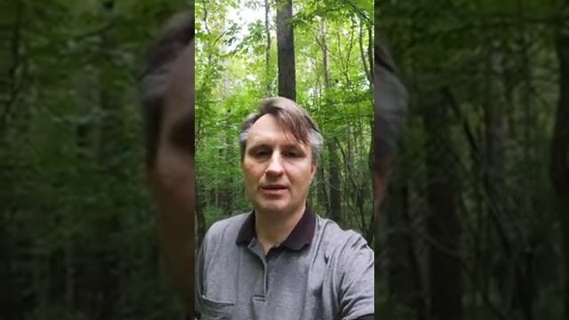 Сделать сайт визитку и потерять деньги? смотреть онлайн