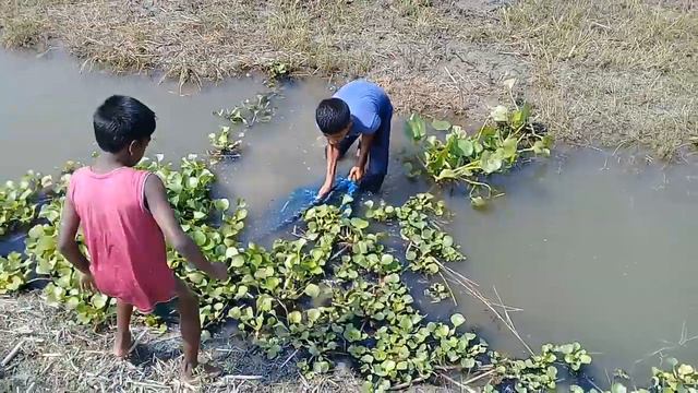 Amazing Village fishing by kids _ Best Fishing by Net смотреть онлайн