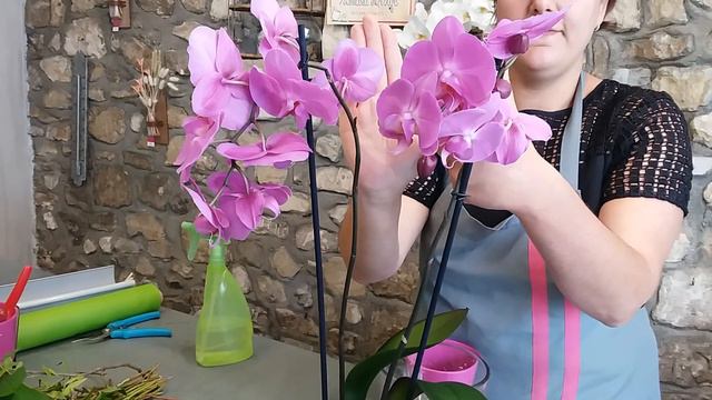 Comment entretenir et faire refleurir une orchidée. смотреть онлайн