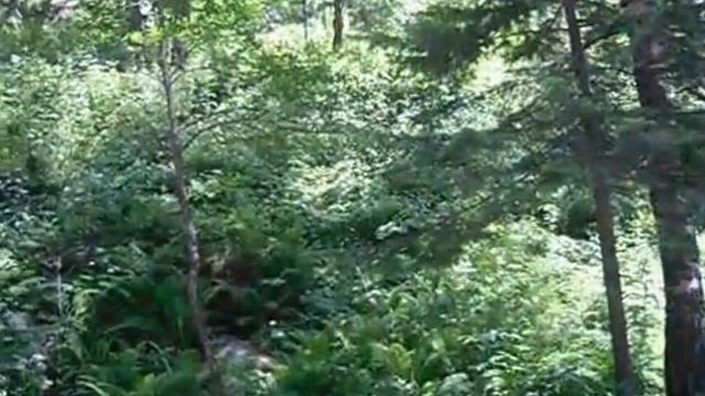 Белокуриха-речушка смотреть онлайн